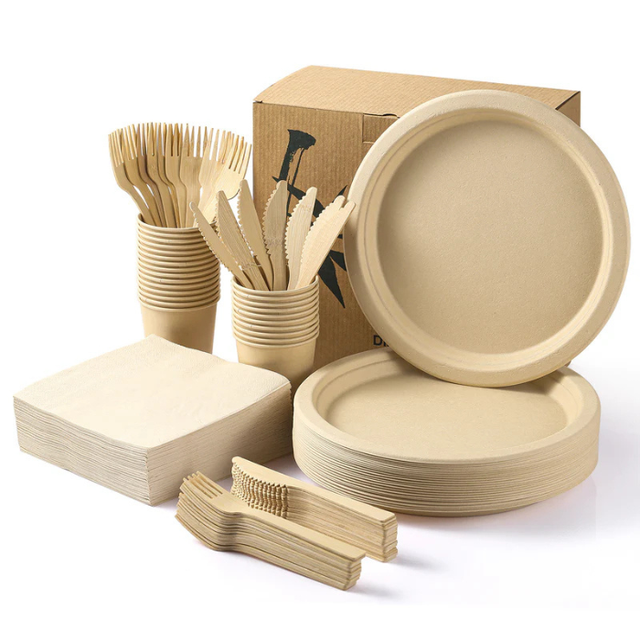 Disposable plates, cutlery, cups and napkins for catering